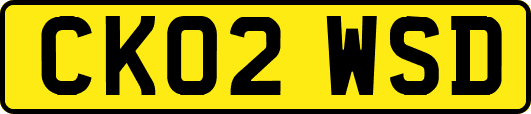 CK02WSD