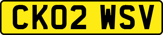 CK02WSV