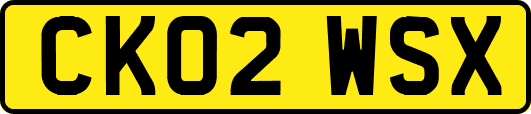 CK02WSX
