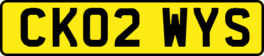 CK02WYS