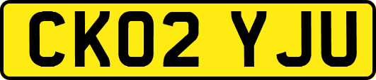 CK02YJU