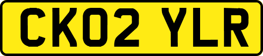 CK02YLR