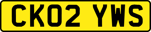 CK02YWS