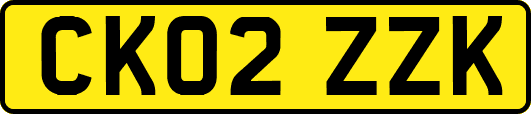 CK02ZZK