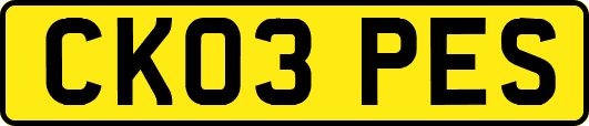 CK03PES