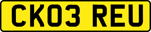 CK03REU