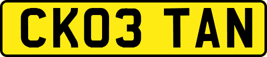 CK03TAN