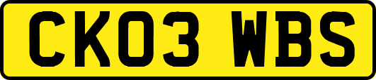 CK03WBS