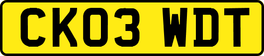 CK03WDT