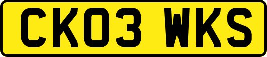 CK03WKS