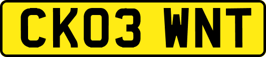 CK03WNT