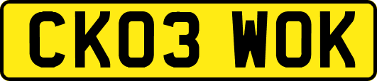 CK03WOK