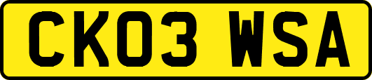 CK03WSA