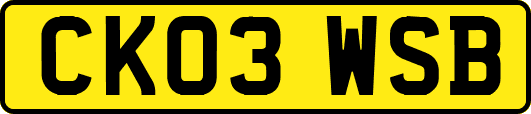 CK03WSB