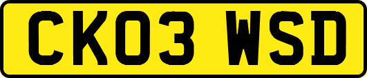 CK03WSD