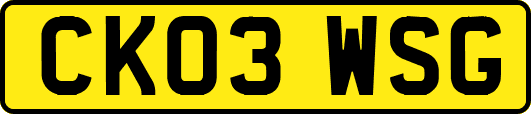 CK03WSG