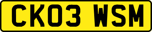 CK03WSM