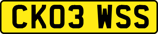 CK03WSS