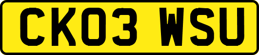 CK03WSU