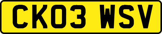 CK03WSV