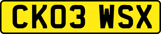 CK03WSX