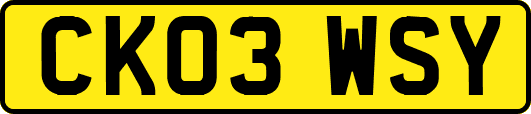 CK03WSY