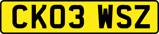 CK03WSZ