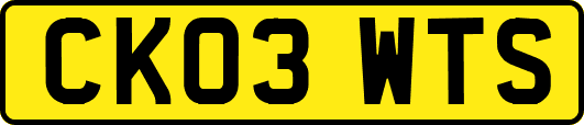 CK03WTS