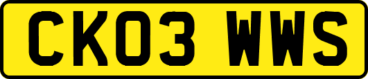 CK03WWS