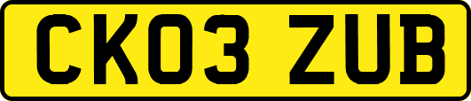 CK03ZUB