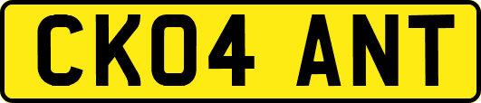 CK04ANT