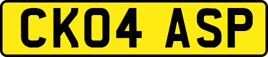 CK04ASP