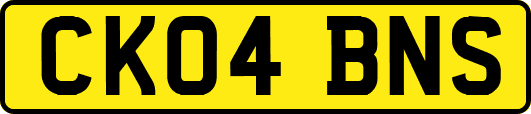 CK04BNS