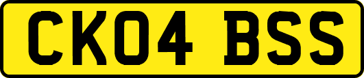 CK04BSS