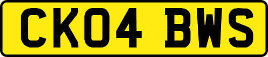 CK04BWS