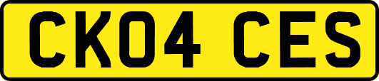 CK04CES