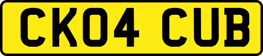 CK04CUB