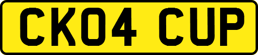 CK04CUP