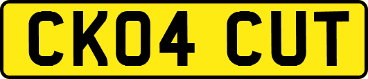 CK04CUT