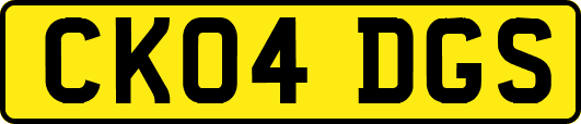 CK04DGS