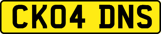 CK04DNS