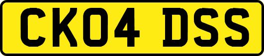 CK04DSS