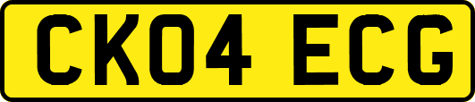 CK04ECG