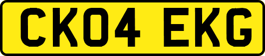 CK04EKG