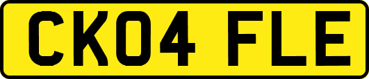 CK04FLE