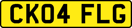 CK04FLG