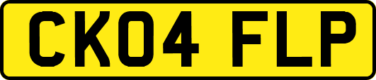 CK04FLP