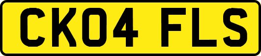 CK04FLS