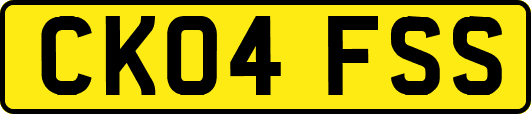 CK04FSS