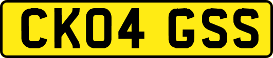 CK04GSS
